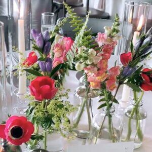 Meet your Posher, Tanina